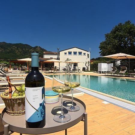Agriturismo Guerritore 바로니씨 외부 사진